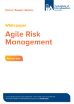 Agile Risk Management