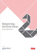 Respecting the Grey Swan